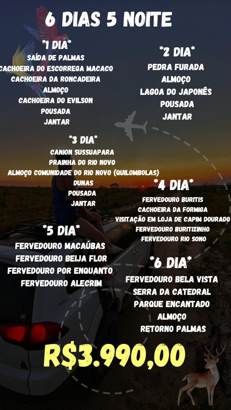 Story do Instagram catálogo digital.pdf-7-6